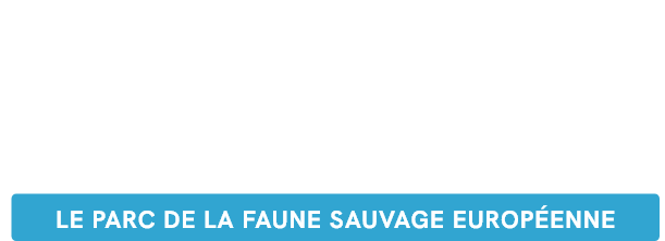 Zoodyssée